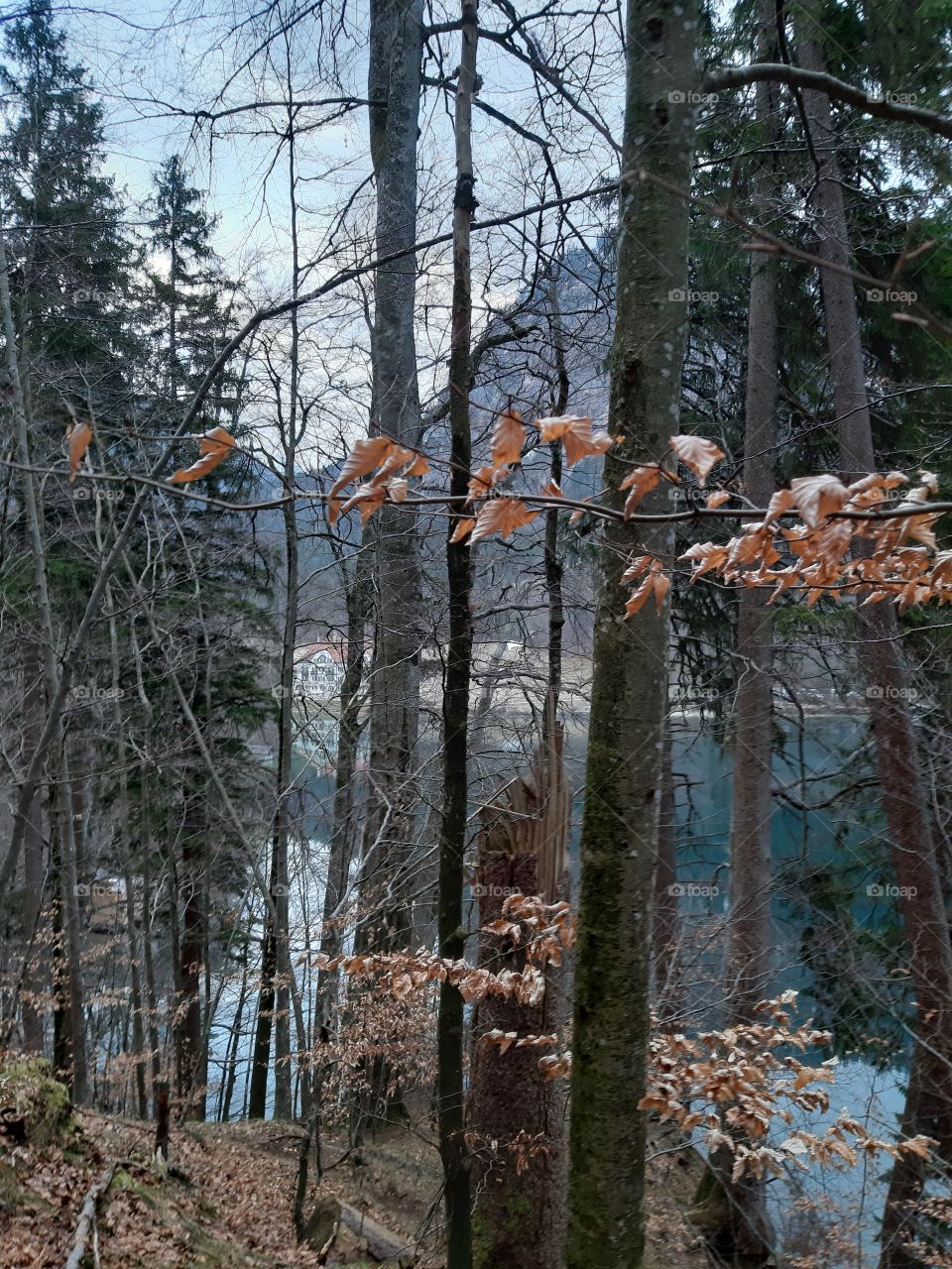 Lake in South Germany