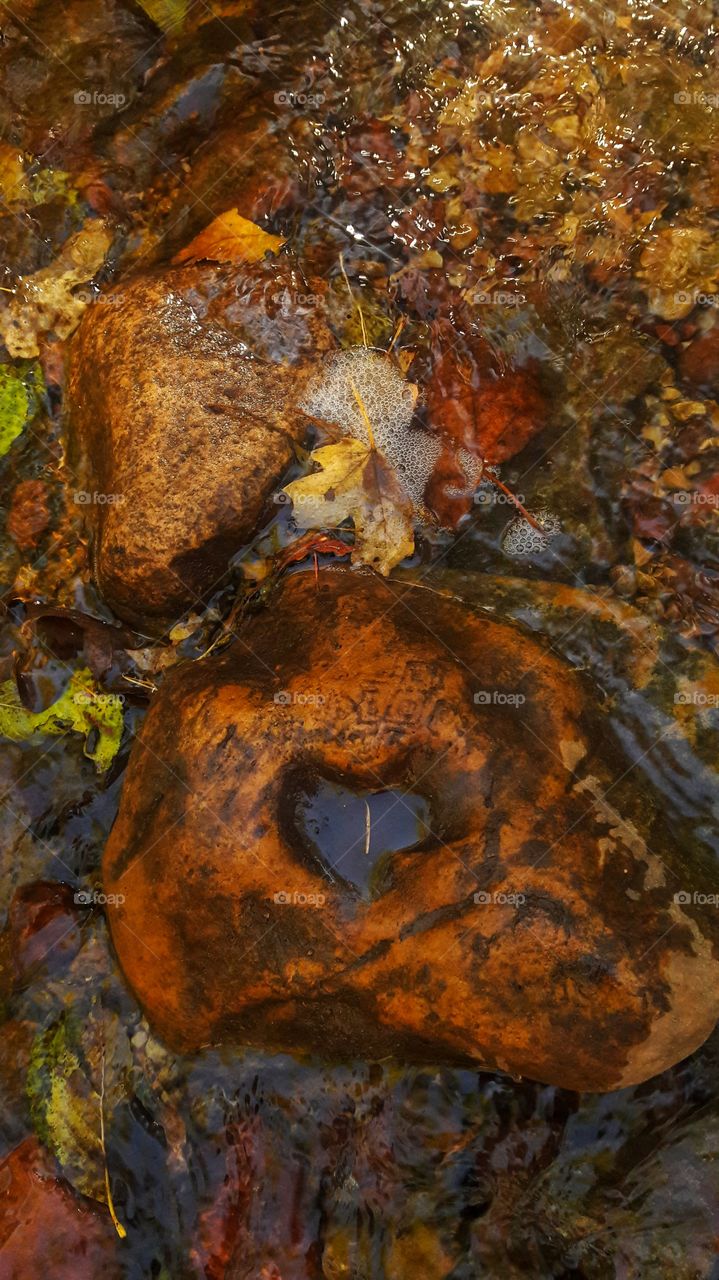 A stone with a unique heart shaped imprint in the middle, surrounded by colored leaves floating in a shallow stream.