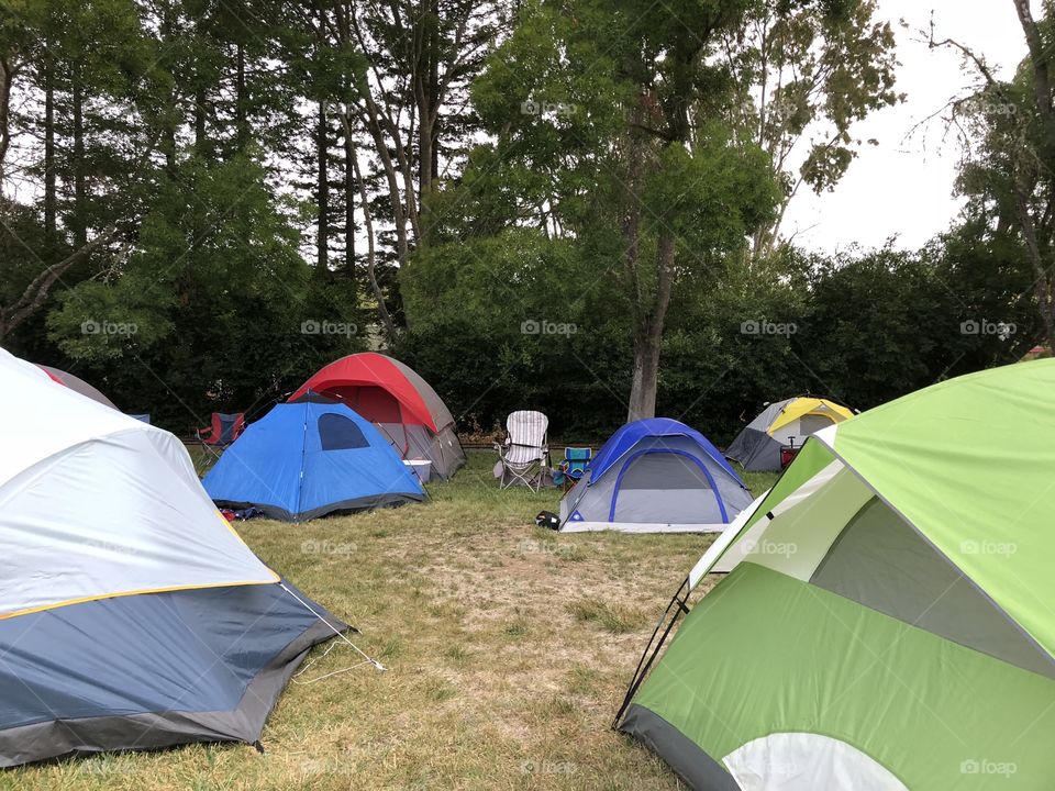 Tents at a campground 