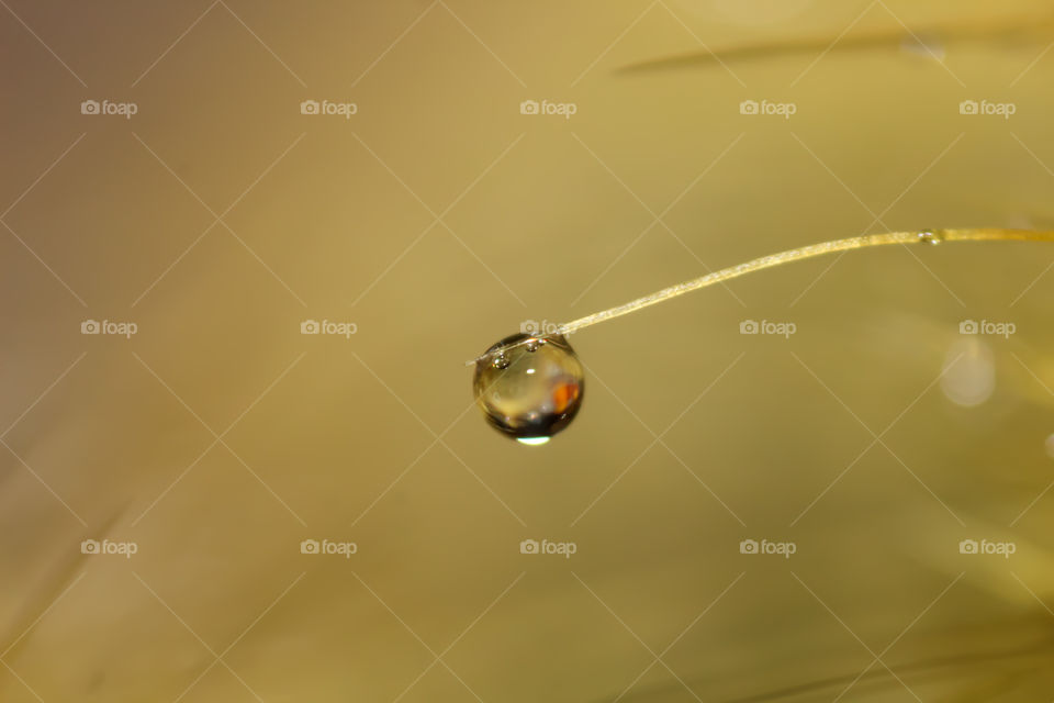 Droplet macro