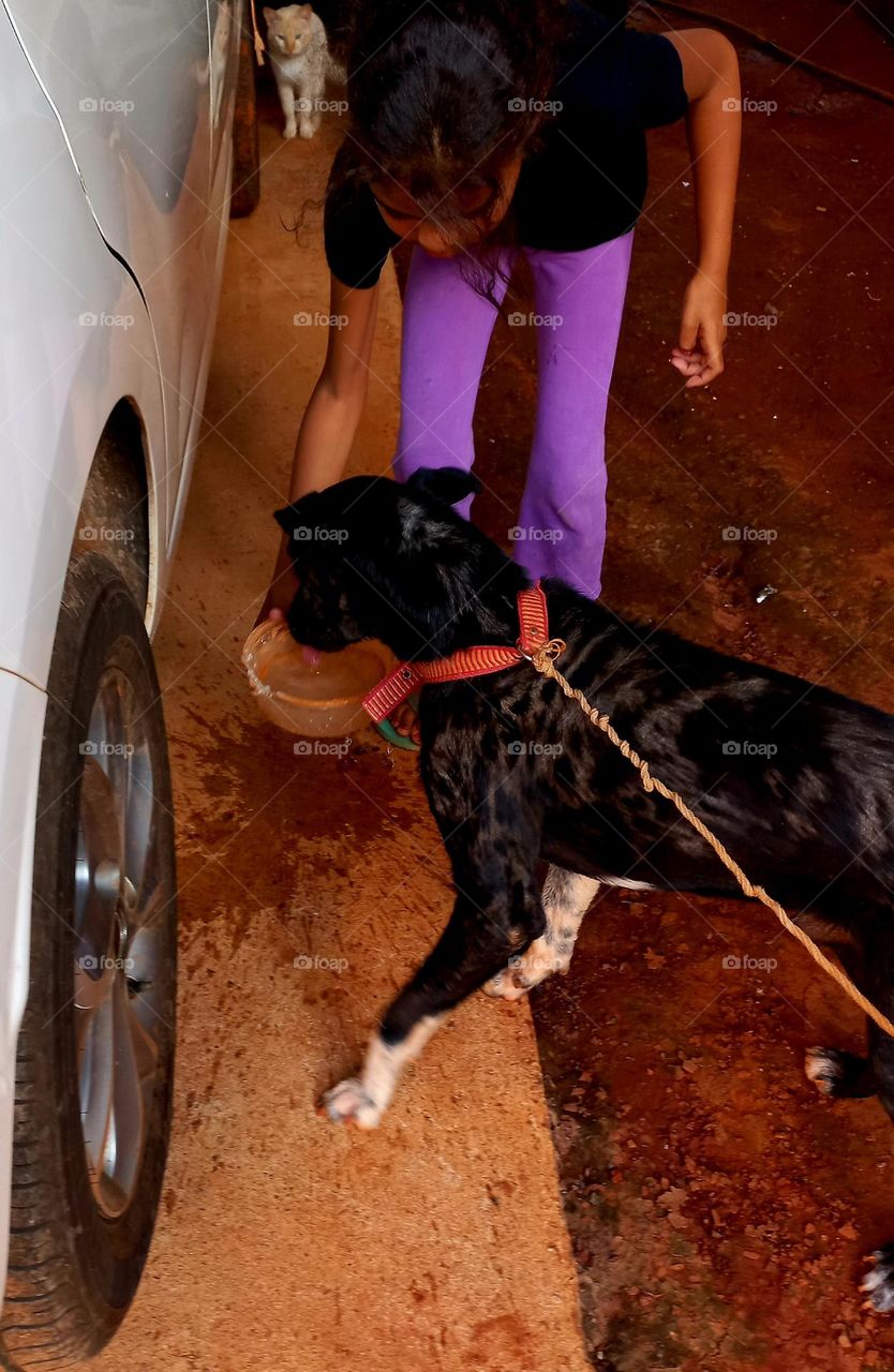 Criança cuidando carinhosamente de um cãozinho que está  com um probleminha  no pelo.