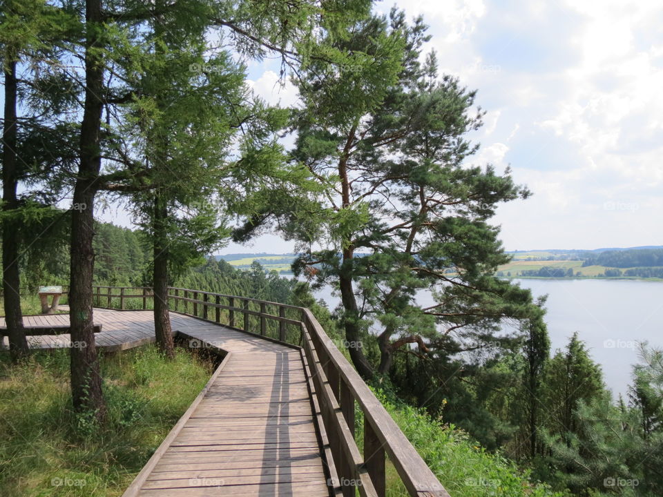 A walkway. Down the juniper valley. Kaunas, Lithuania