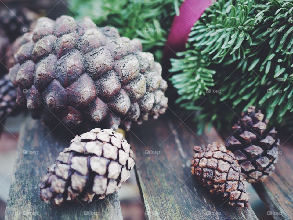 Cones , wood and spruce needles