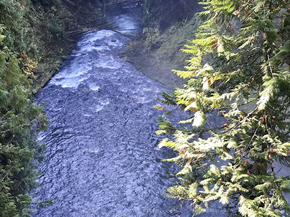 A view of the rushing waters of the McKenzie River in the mountains of Western Oregon close after its drop over Sahalie Falls on a sunny fall day.
