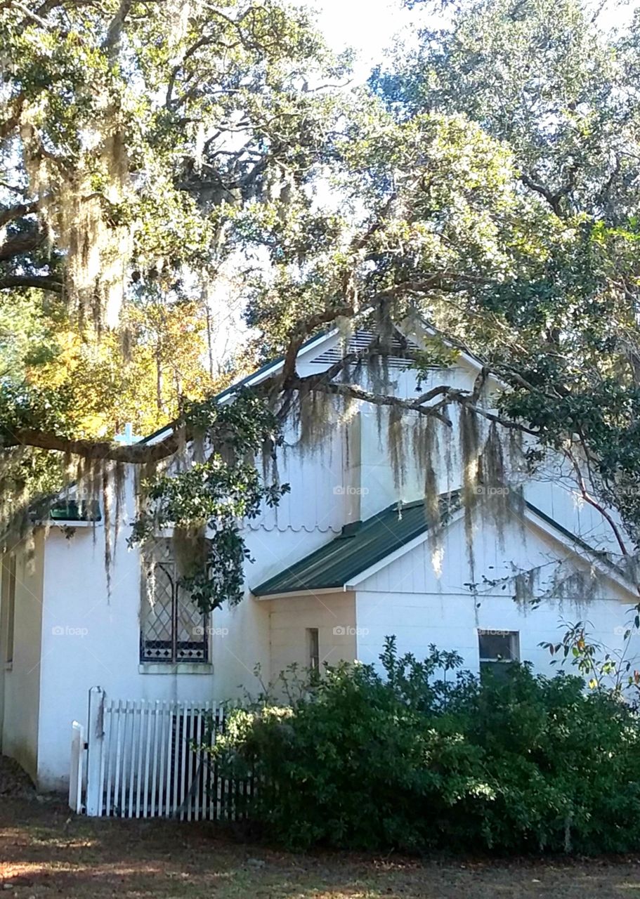 early afternoon sunny on old chapel and oaks