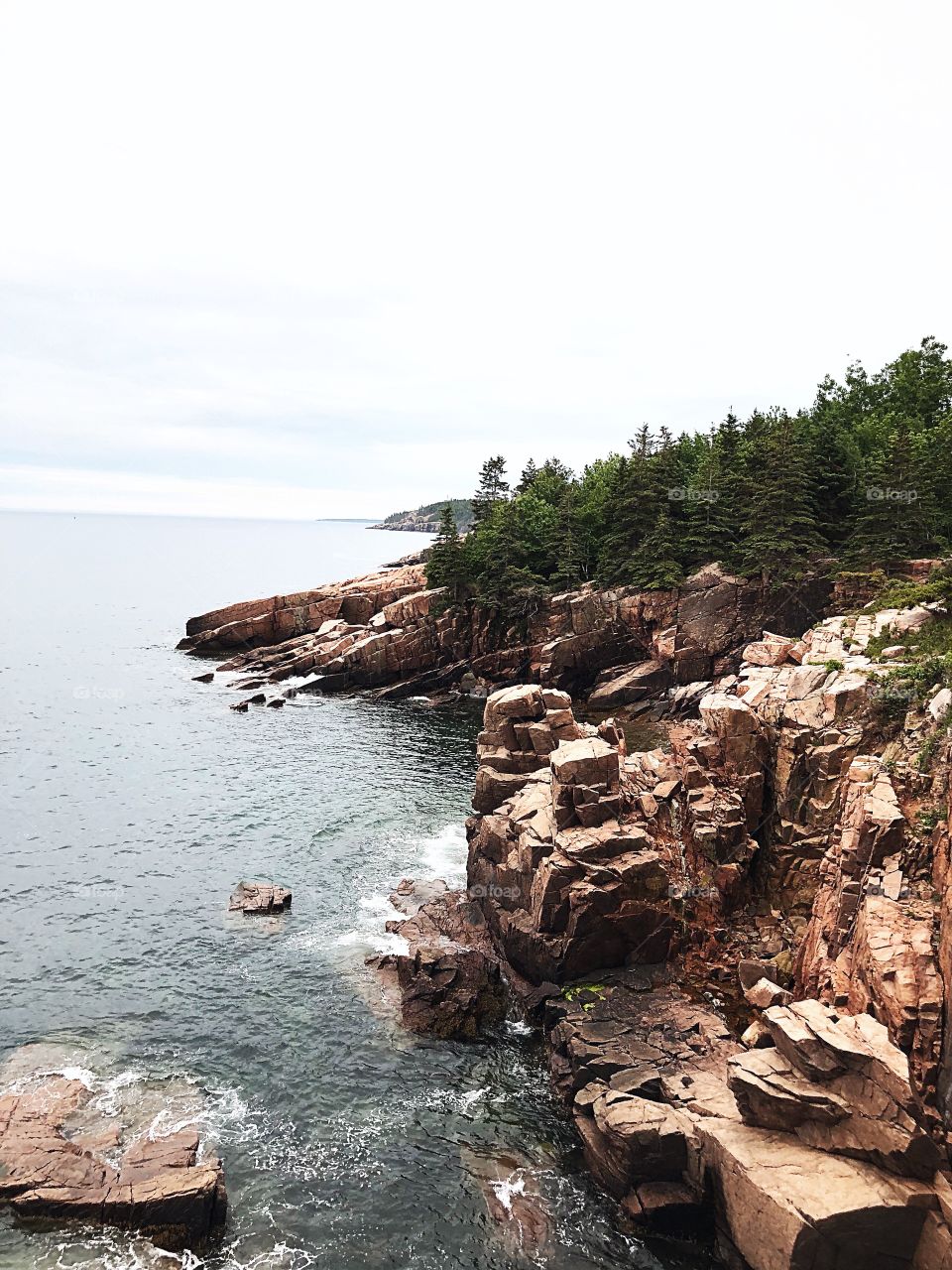Maine coast