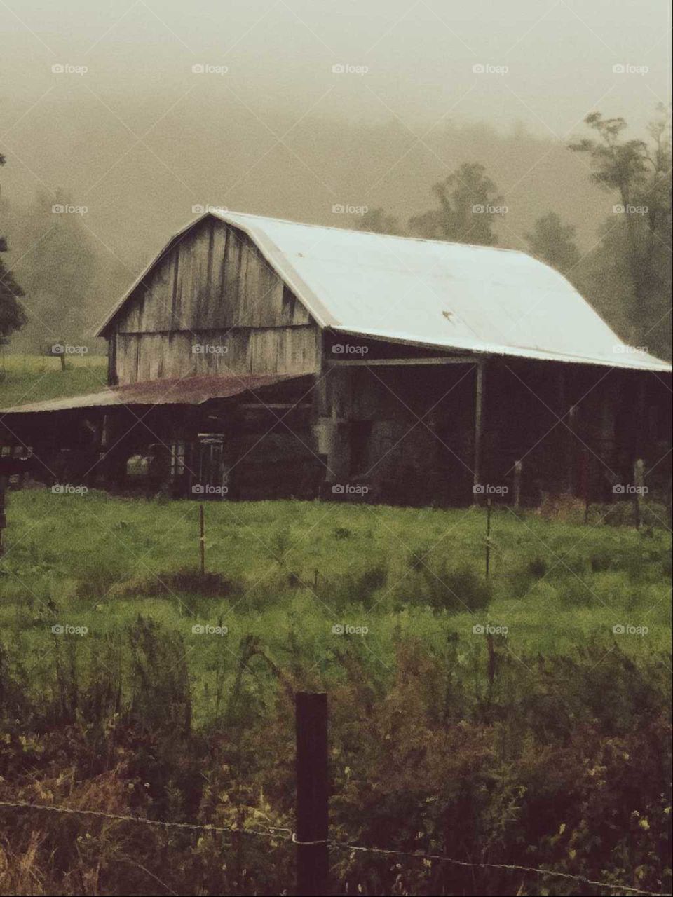 Old dilapidated barn in the middle of the country on a rainy foggy morning.