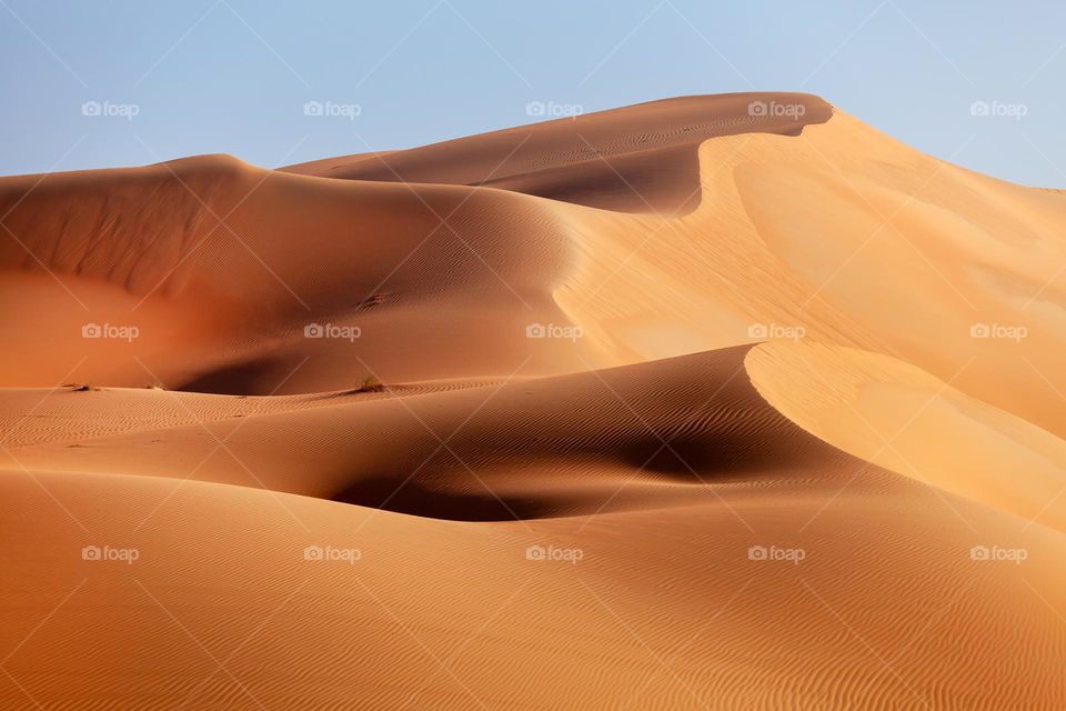Hot summer desert landscape, endless sand dunes