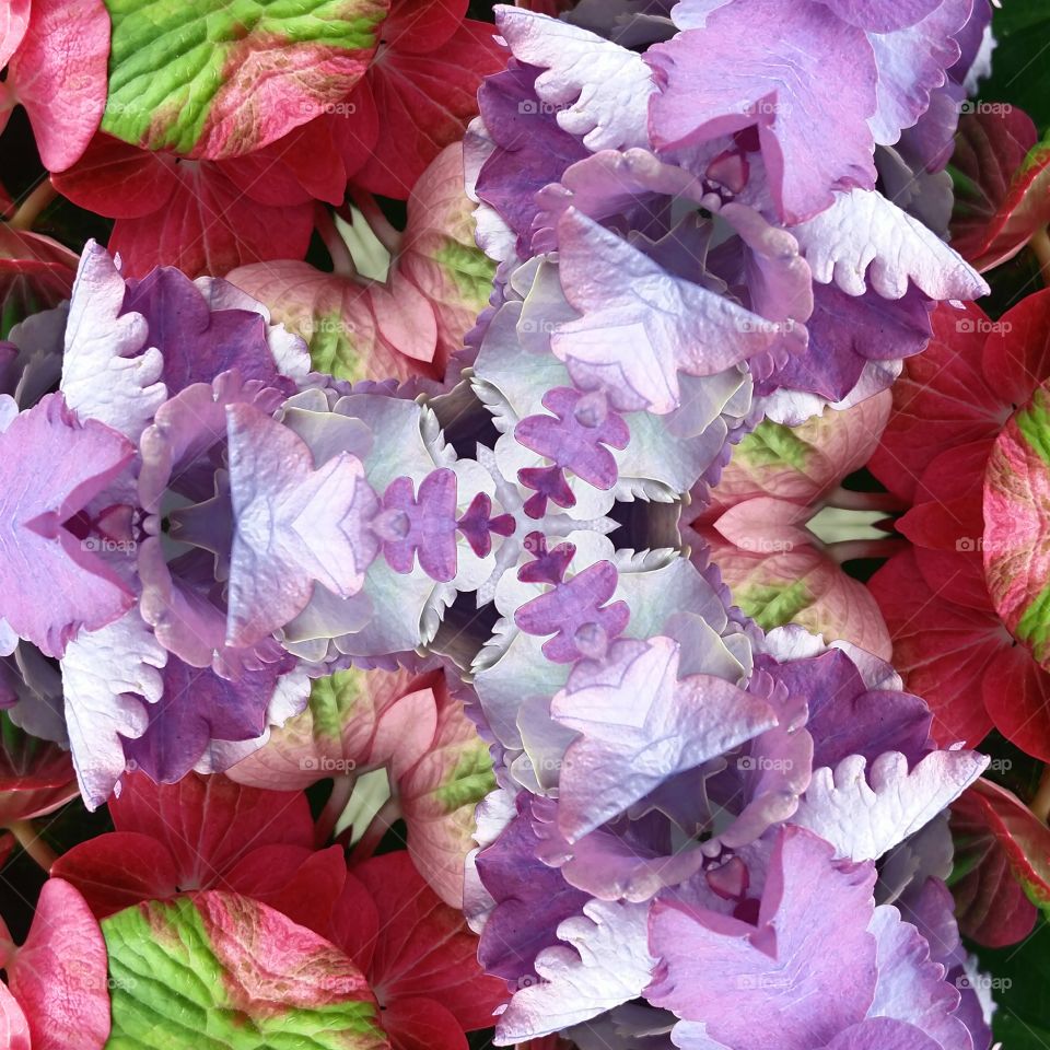 flowers kaleidoscope