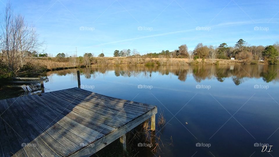 Reflection, Water, Lake, River, Tree