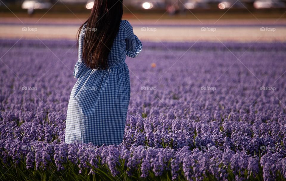 Woman is standing in Violet flowers field 