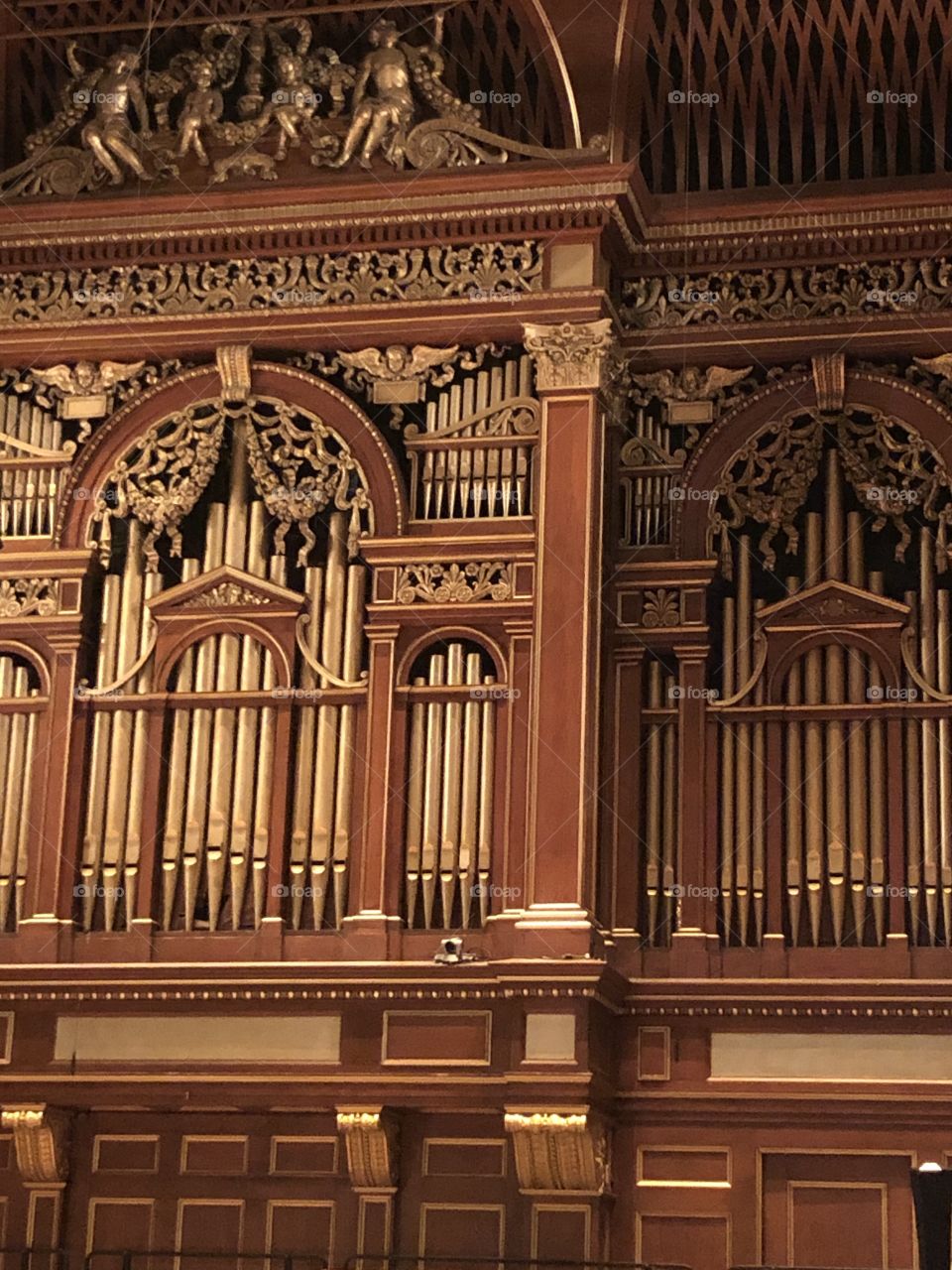 Organ