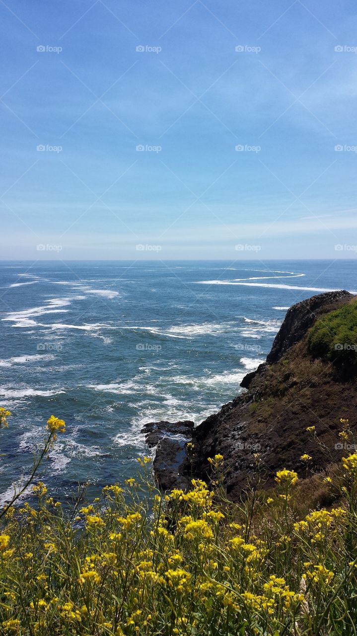 Yaquina Head Outstanding Natural Area Newport, OR