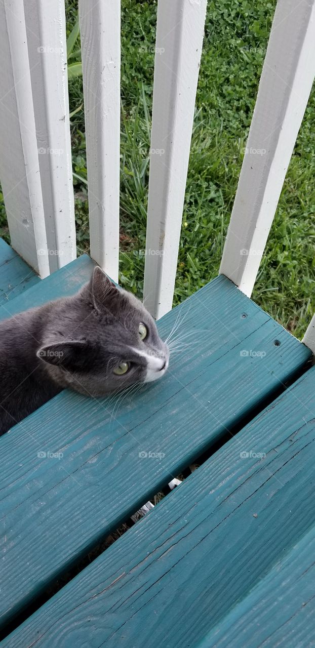 Relaxing on the steps
