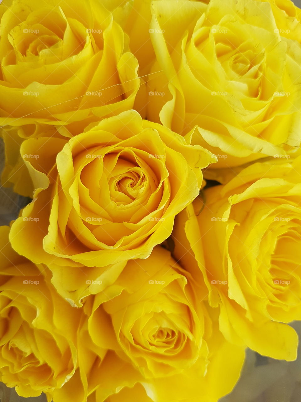 bright yellow roses bouquet