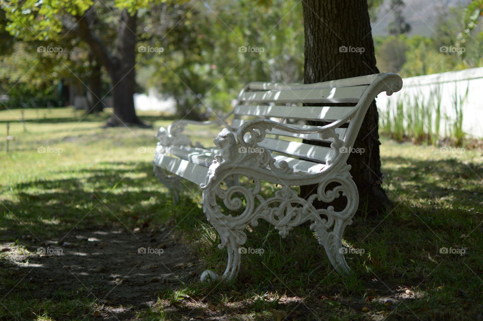A white peaceful contemplation bench amongst the oak trees.