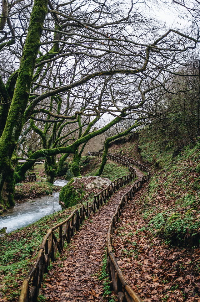 The path