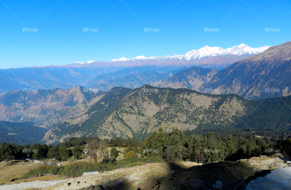 chopta valley