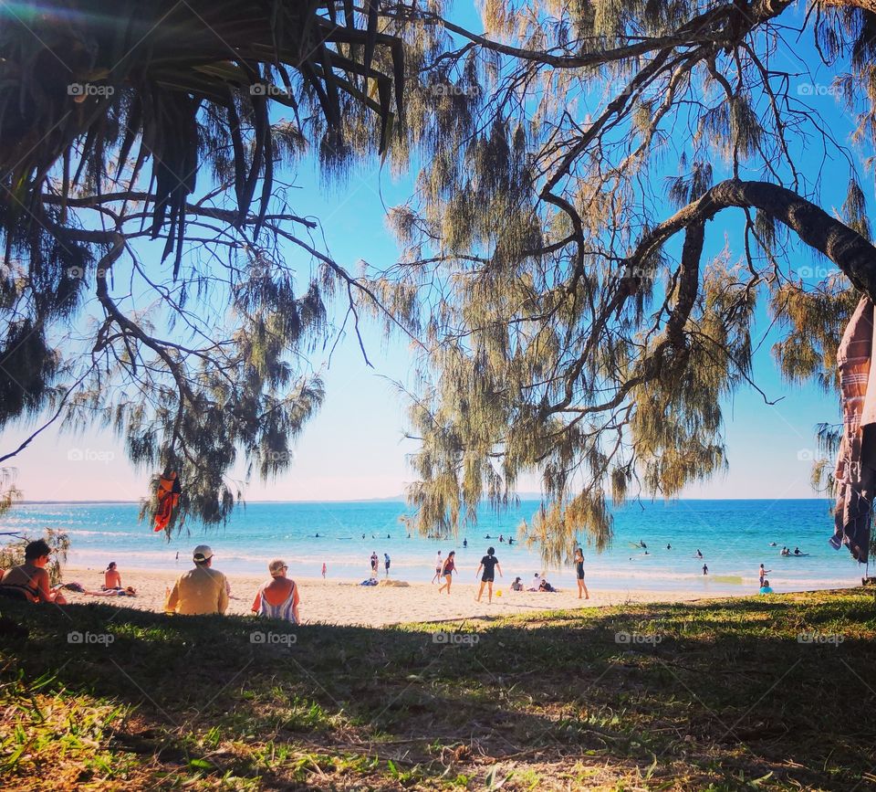 View of the sparkling turquoise sea from under the trees at Noosa