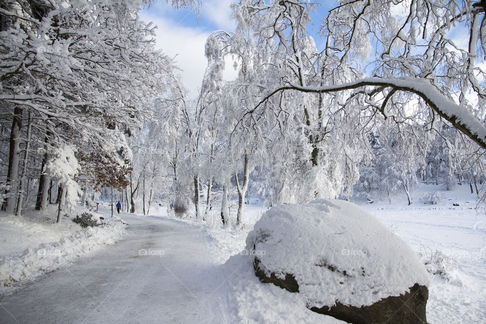Path by the lake in a snowy forest 