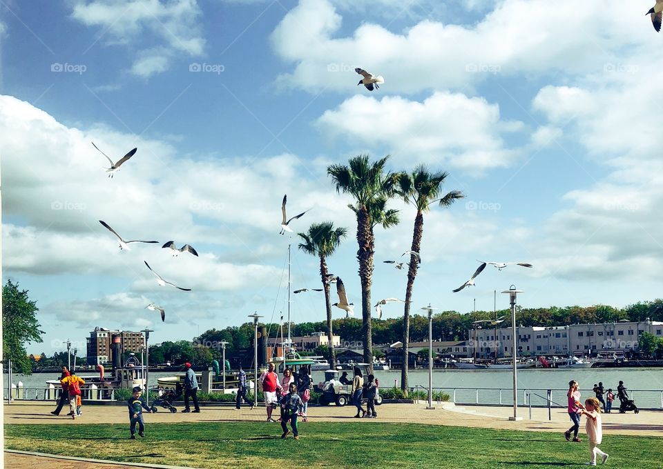 Tourists feeding the birds popcorn out on the grass