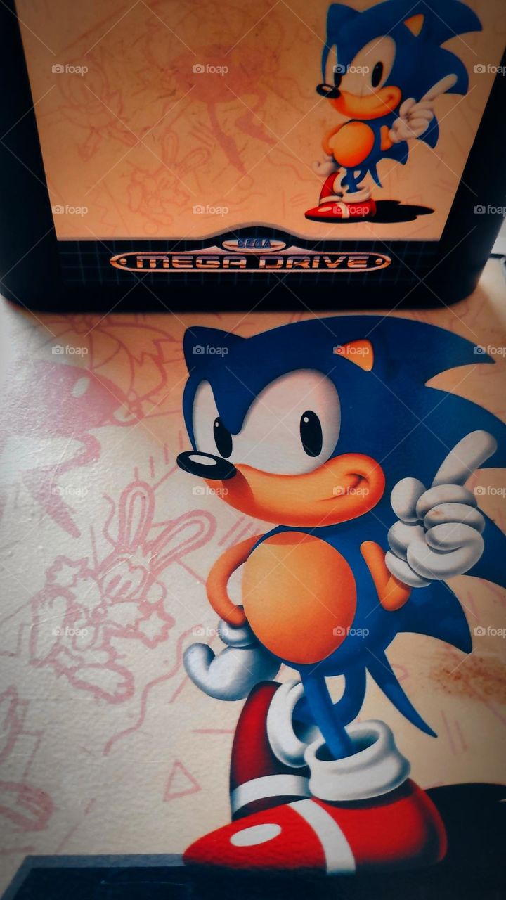 Sonic the Hedgehog.