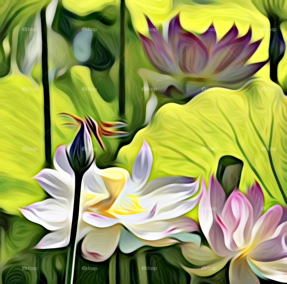 digital painting of a red dragonfly and a Lotus patch