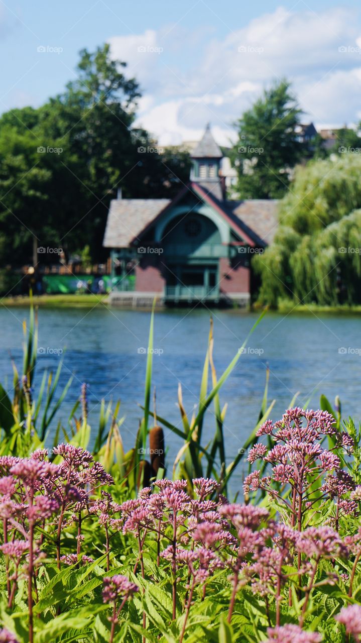 The Harlem Meer