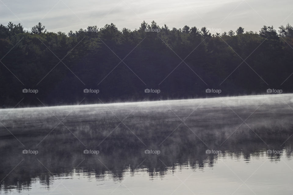 morning mist. mist on the pond