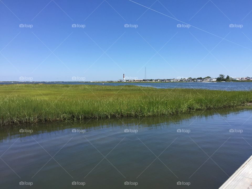 Lighthouse Over Marsh