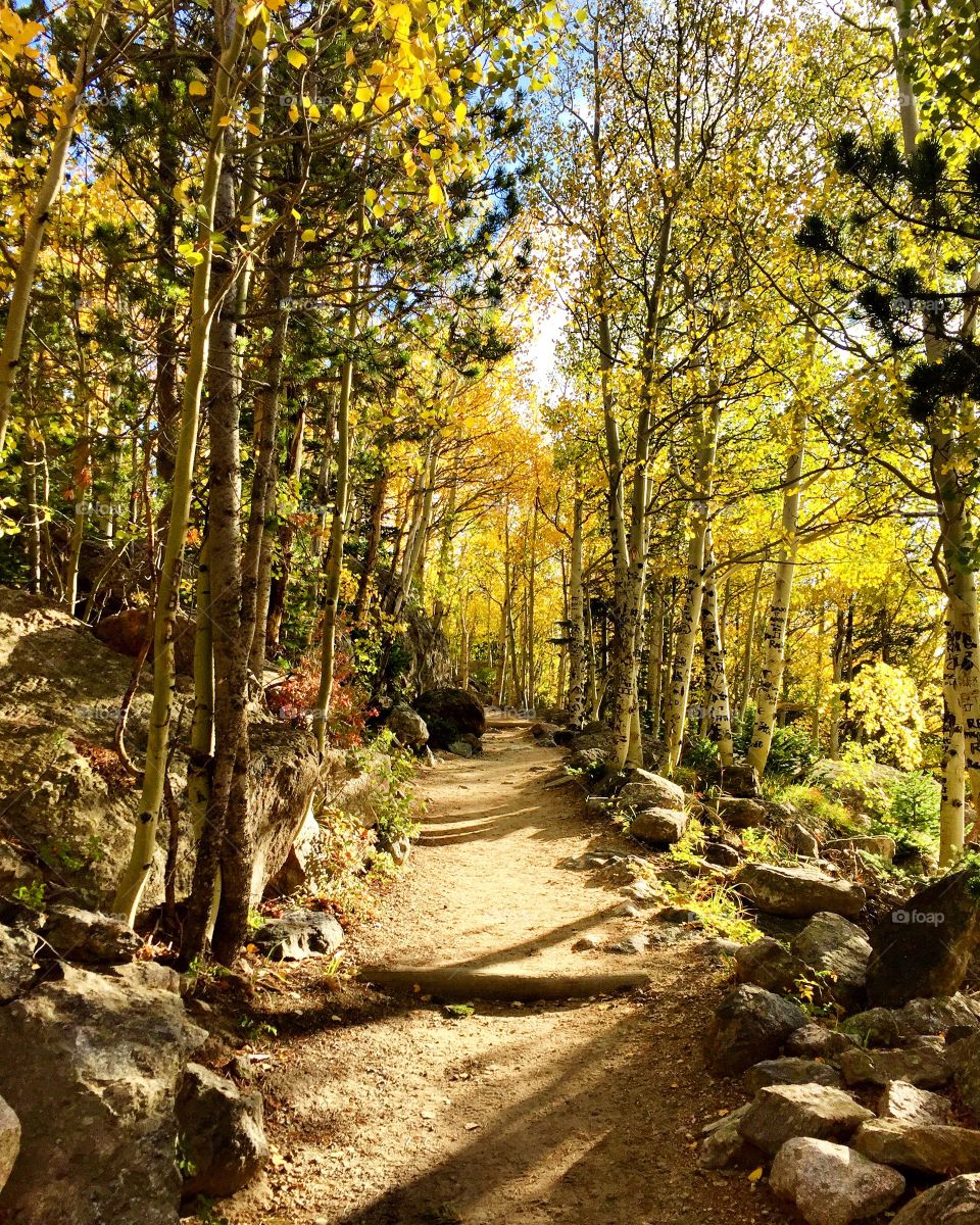 Hiking trail in the fall