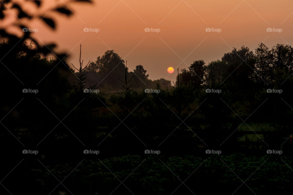 Landscape silhouette on the sunset