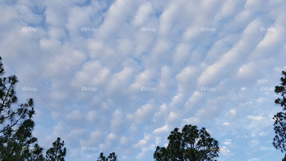 clouds in sky