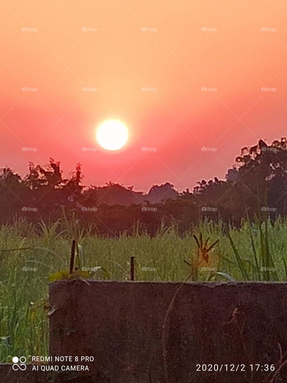 evening makes man happy
