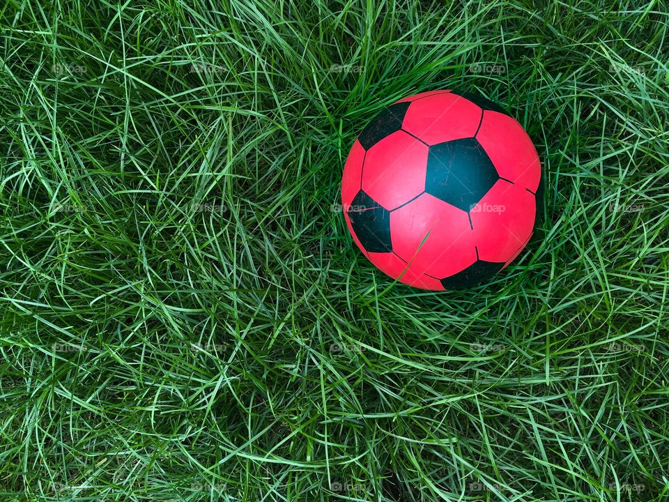Ball, Grass, Soccer, Football, Game