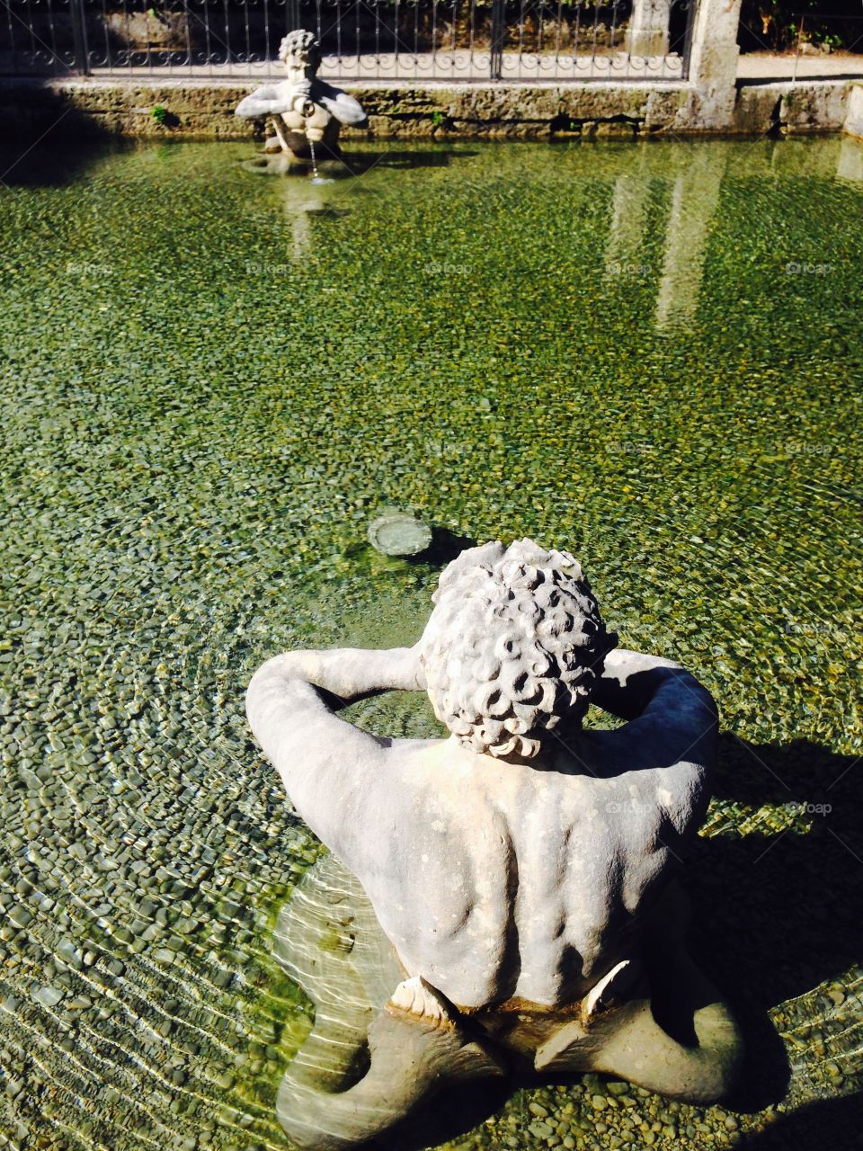 sculptures in the pool. sculptures in the pool