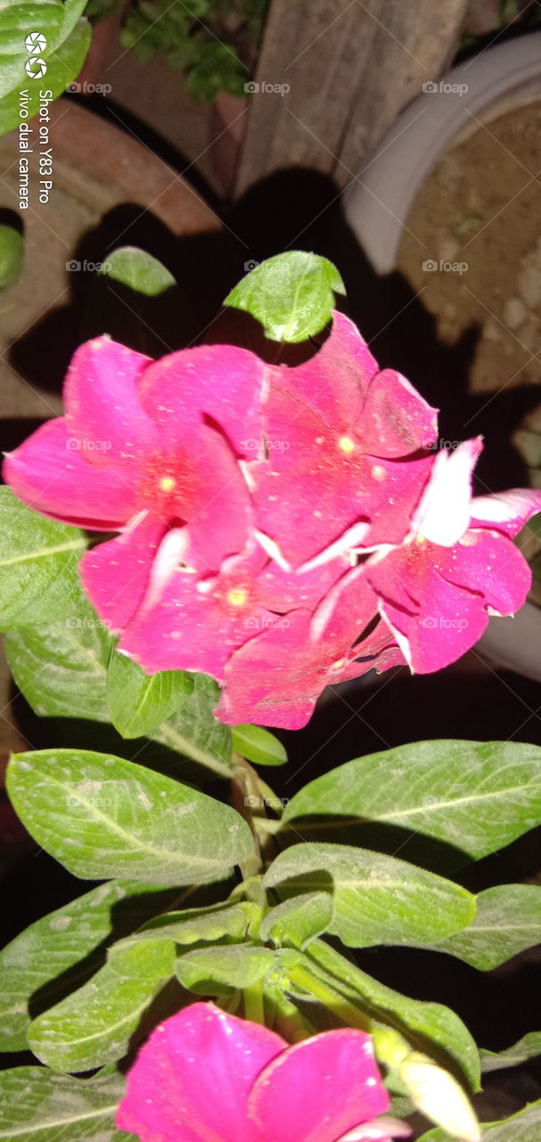 #foap #infoapartemen #foapjuly18 #foapaug18 #foapfeb18 #foapapril17 #foapers #foapjune18 #fotografoaprendiz #sfoapprentices #foaper #infoapartment #foapmission #foapmay18 #foapapr18 #foapit #infoaplikasipaytren #infoapple #foapom #foapjan19 #infoapp 