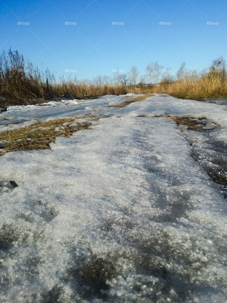 The melting snow on the road in the spring