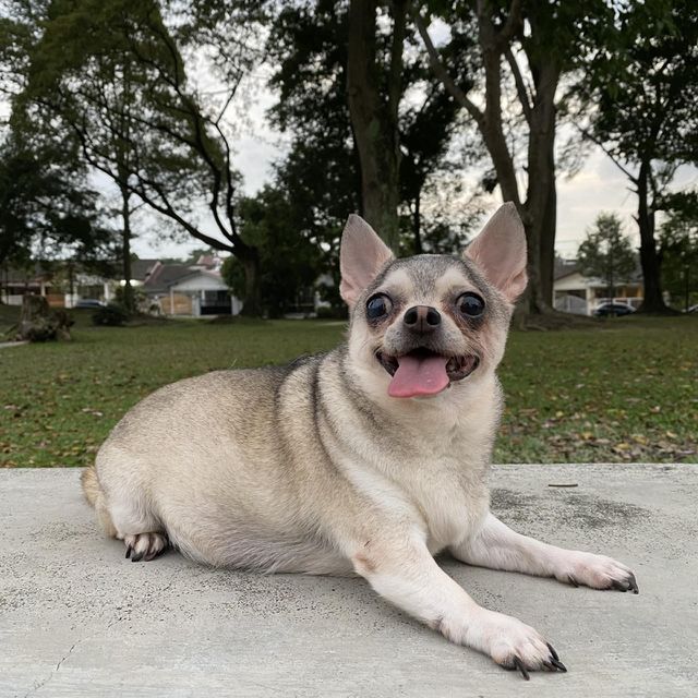Happy face