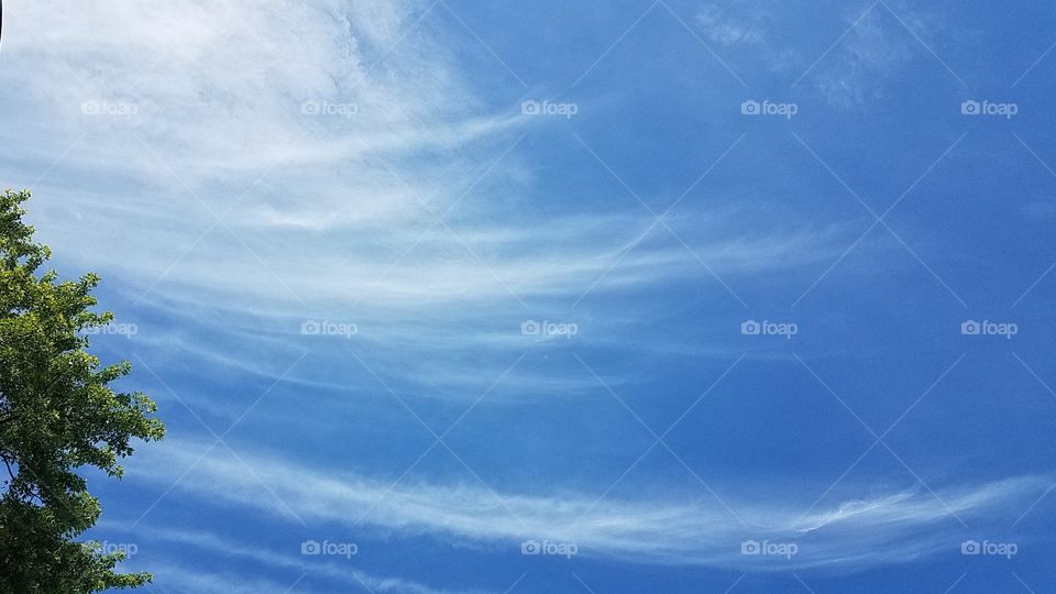 Whispy Clouds