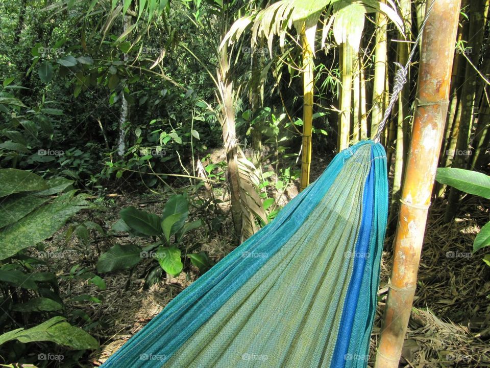 Hammock nap in the rain forest 