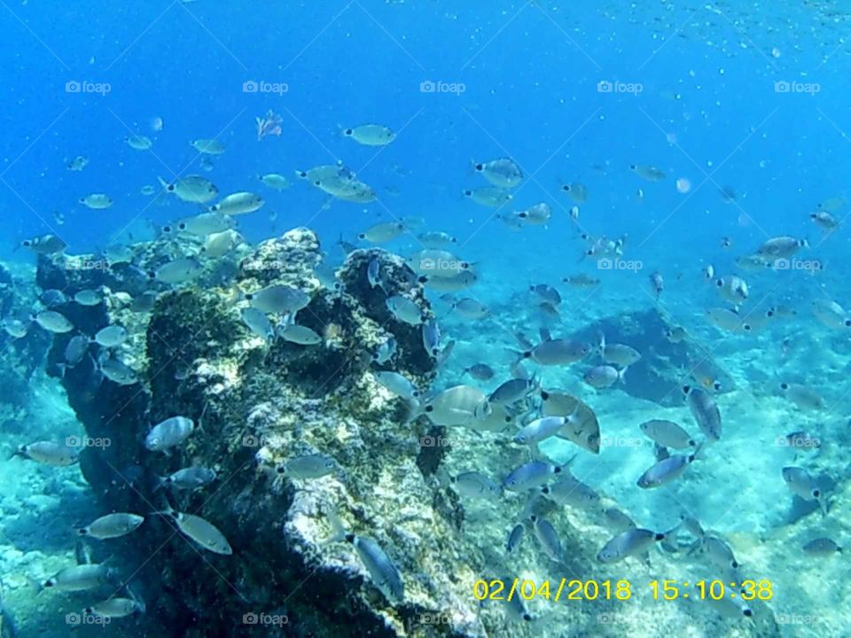 undersea of kas Turkey