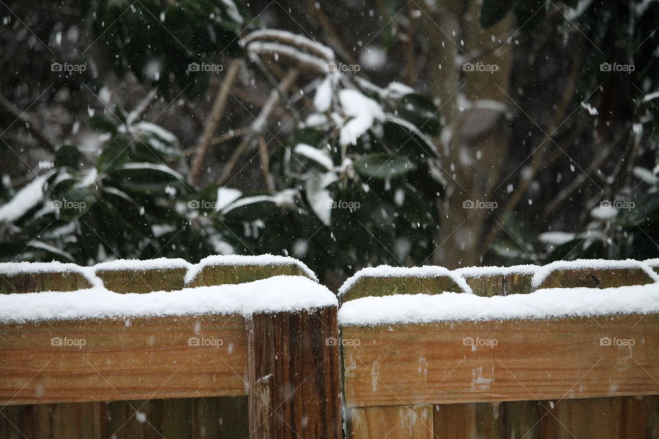 snow accumulating on wooden fence