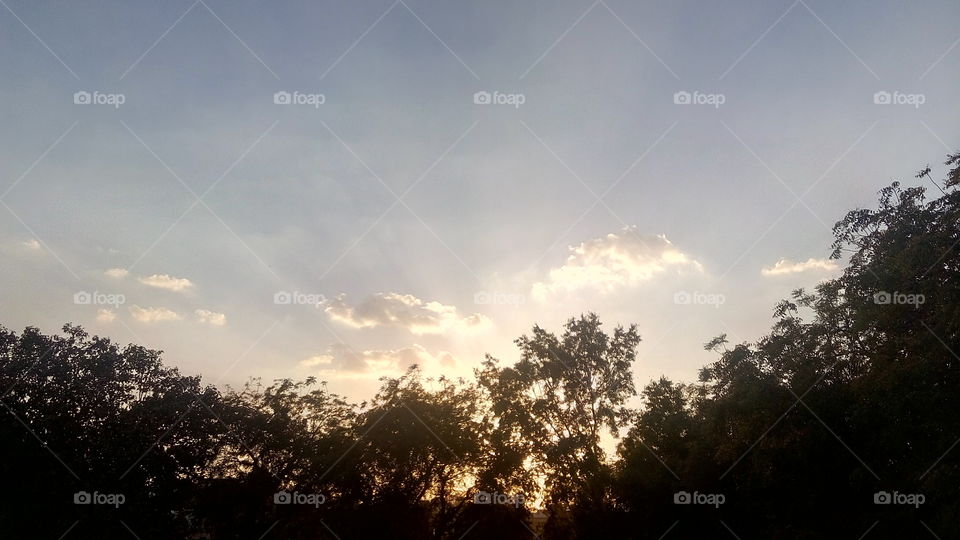 clouds sky and  trees at sunset