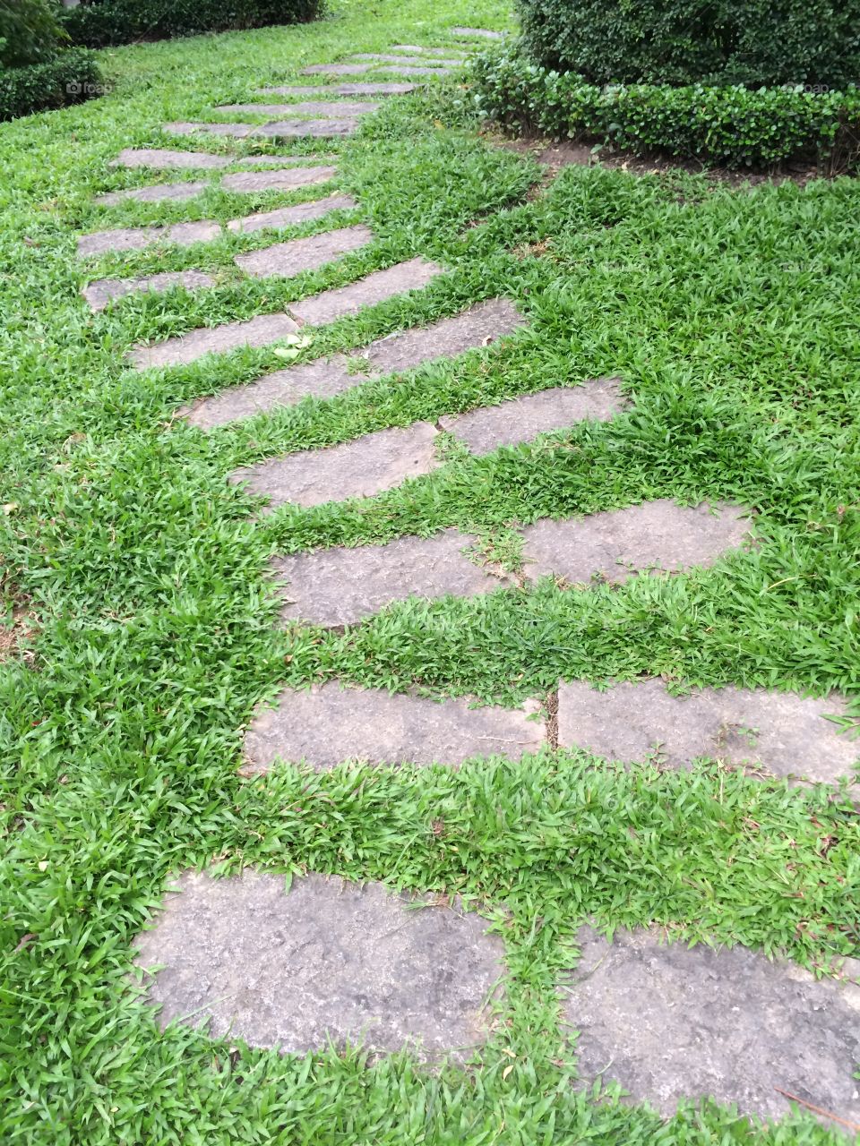Path with stone and grass