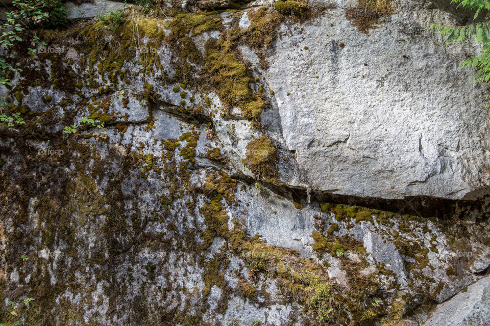 Canyon rock wall