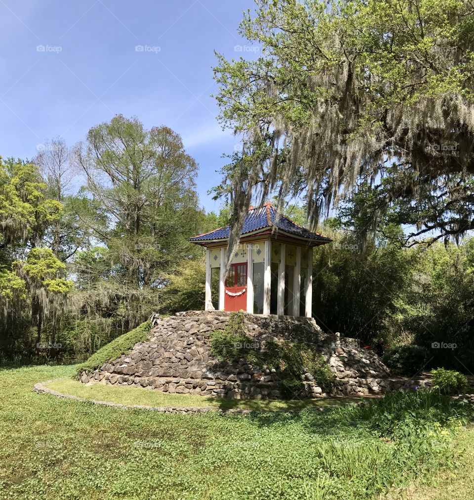 Buddha house in swamp