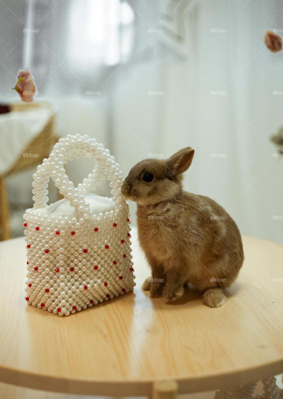 Pearl bag with rabbit 