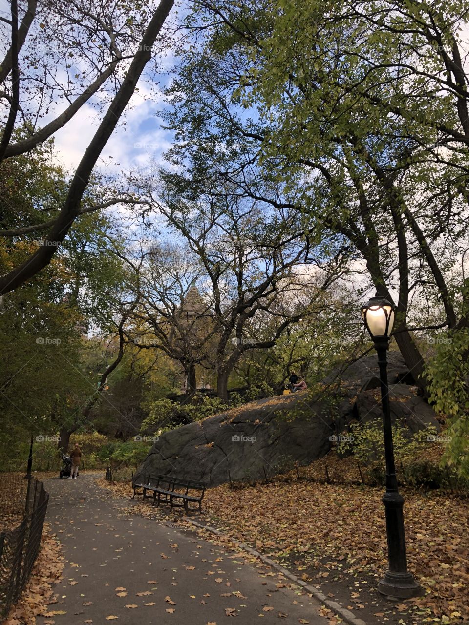 Central Park in November