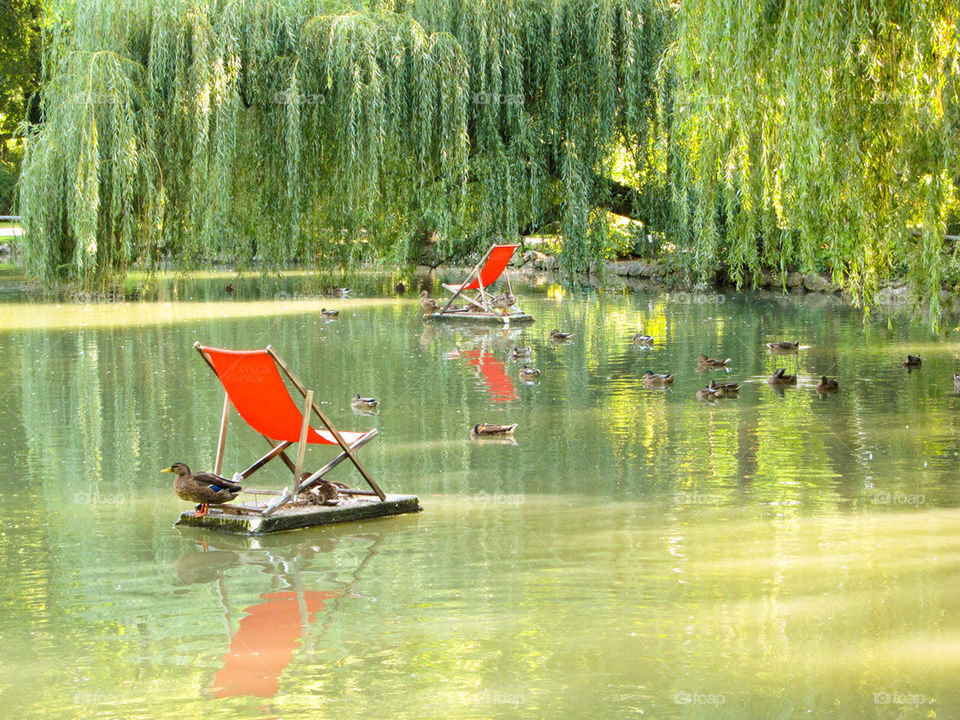 Chairs floating on water.